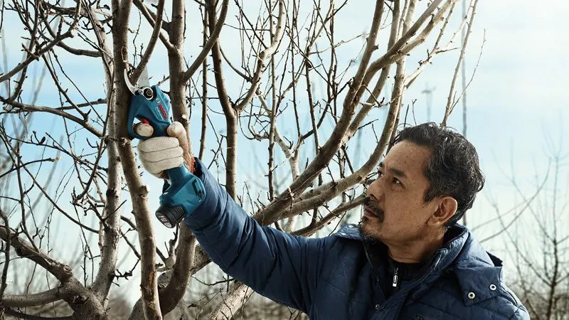 Bosch 06019K1020 Pro Pruner akkus metszőolló (akku és töltő nélkül) 11. kép