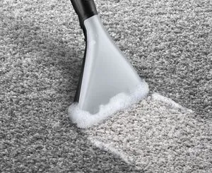 Bosch BWD41720 Takarítógép 15. kép