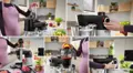 Bosch MUMS8ZS60  robotgép  2. kép